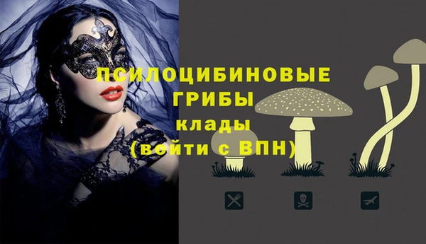 мдпв Каменногорск