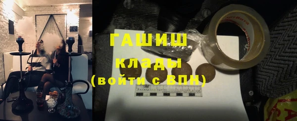 мдпв Каменногорск