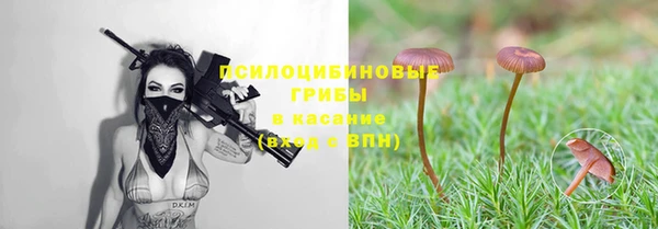 мдпв Каменногорск